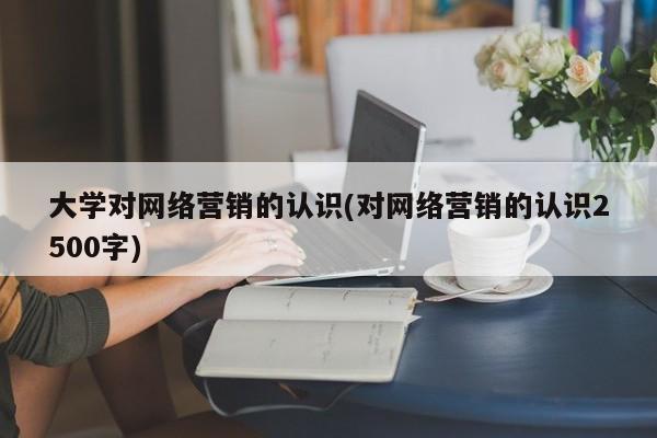 大學對網絡營銷的認識(對網絡營銷的認識2500字)