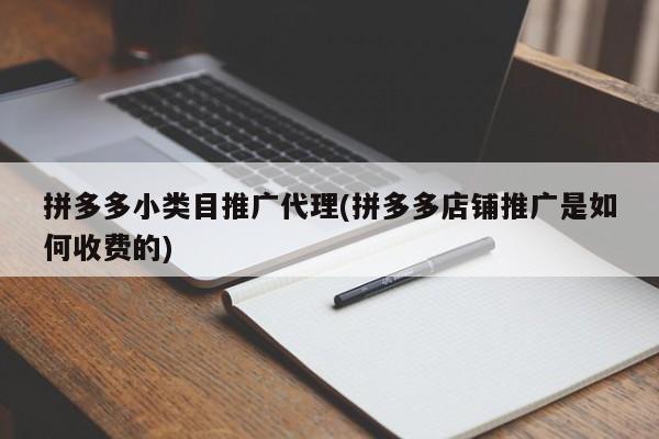 拼多多小類目推廣代理(拼多多店鋪推廣是如何收費的)